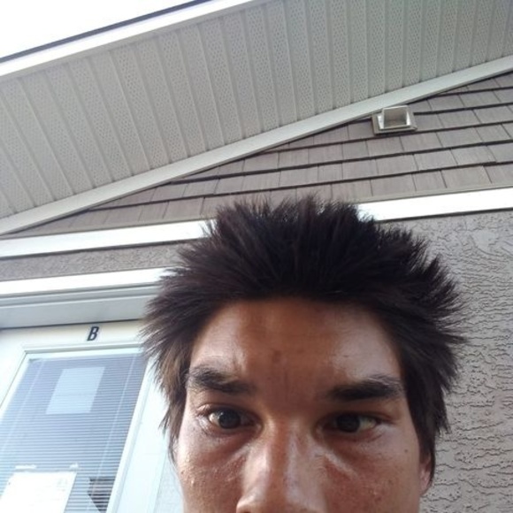 Meet your Posher, Dazz - Picture 1 of 1